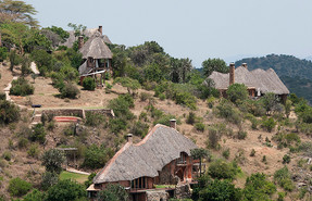 Borana Safari Lodge