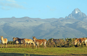 mt. Kenya National Park